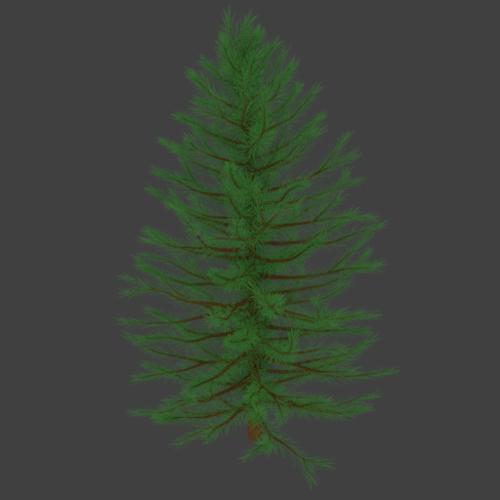 Pine Tree preview image